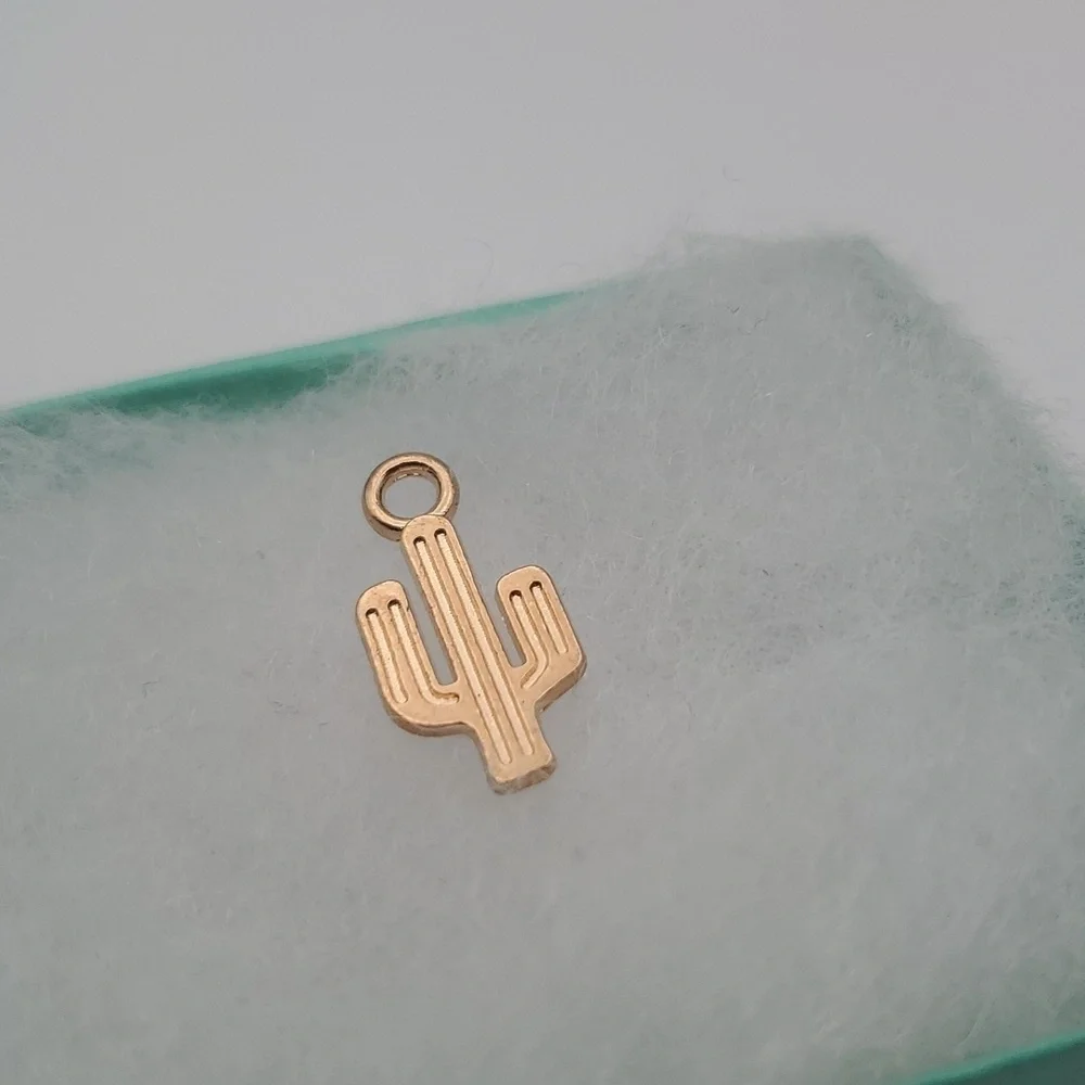 Cactus charm desert‎ 🏜